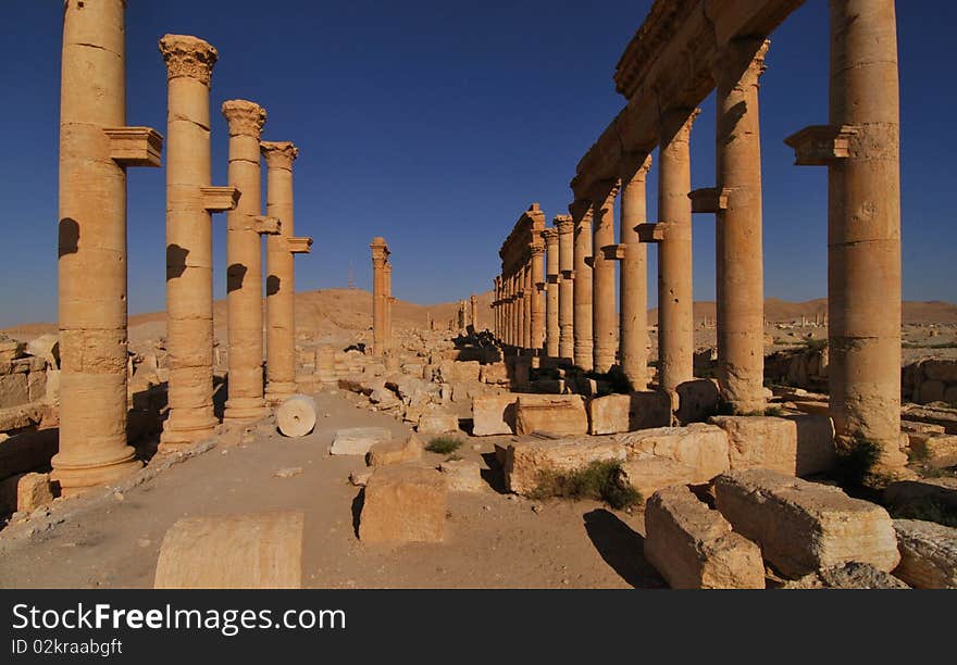 Palmyra ruins and columns