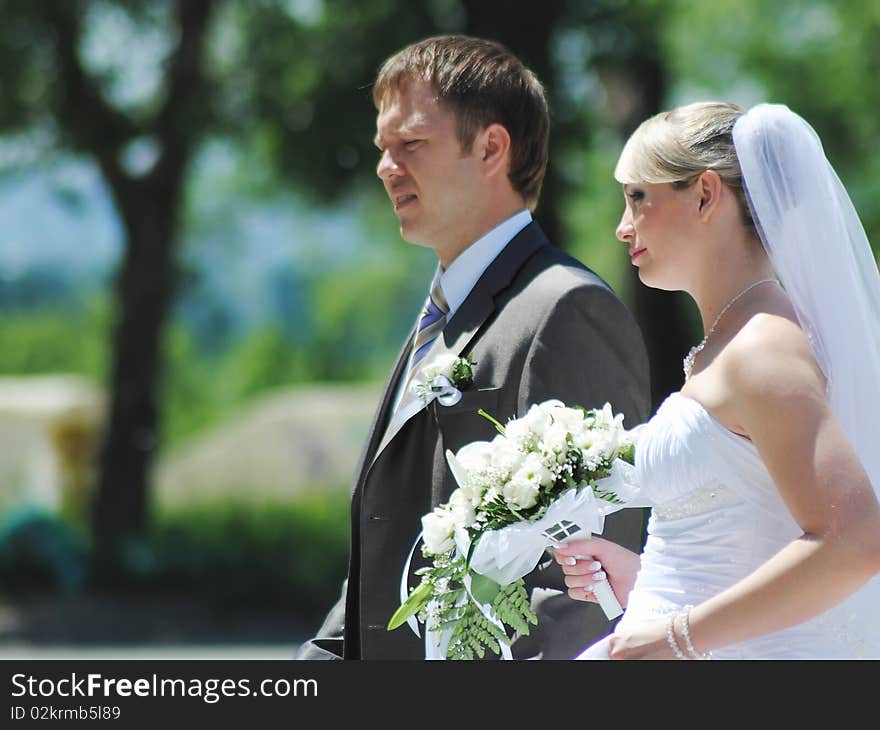 The groom and the bride in park near a tree flirt. The groom and the bride in park near a tree flirt