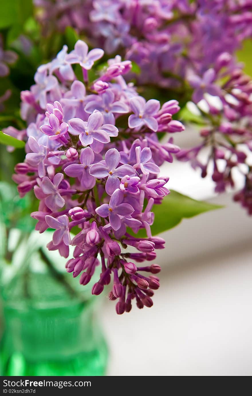 Lilac In Vase