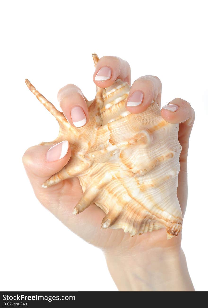 Beautiful hand with perfect french manicure on treated nails holding sea shell. isolated on white background. Beautiful hand with perfect french manicure on treated nails holding sea shell. isolated on white background