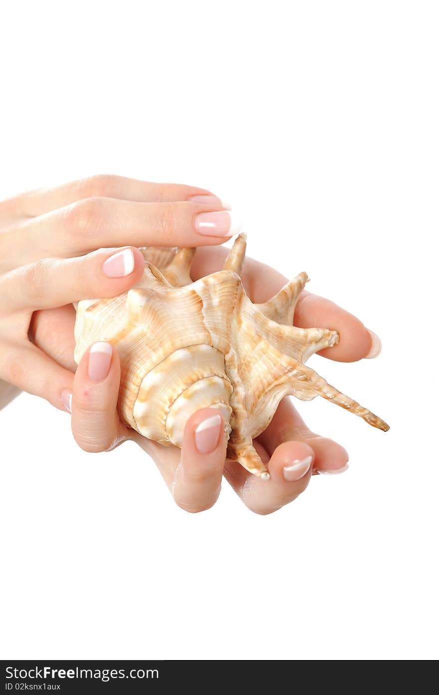 Beautiful hand with perfect french manicure on treated nails holding sea shell. isolated on white background. Beautiful hand with perfect french manicure on treated nails holding sea shell. isolated on white background