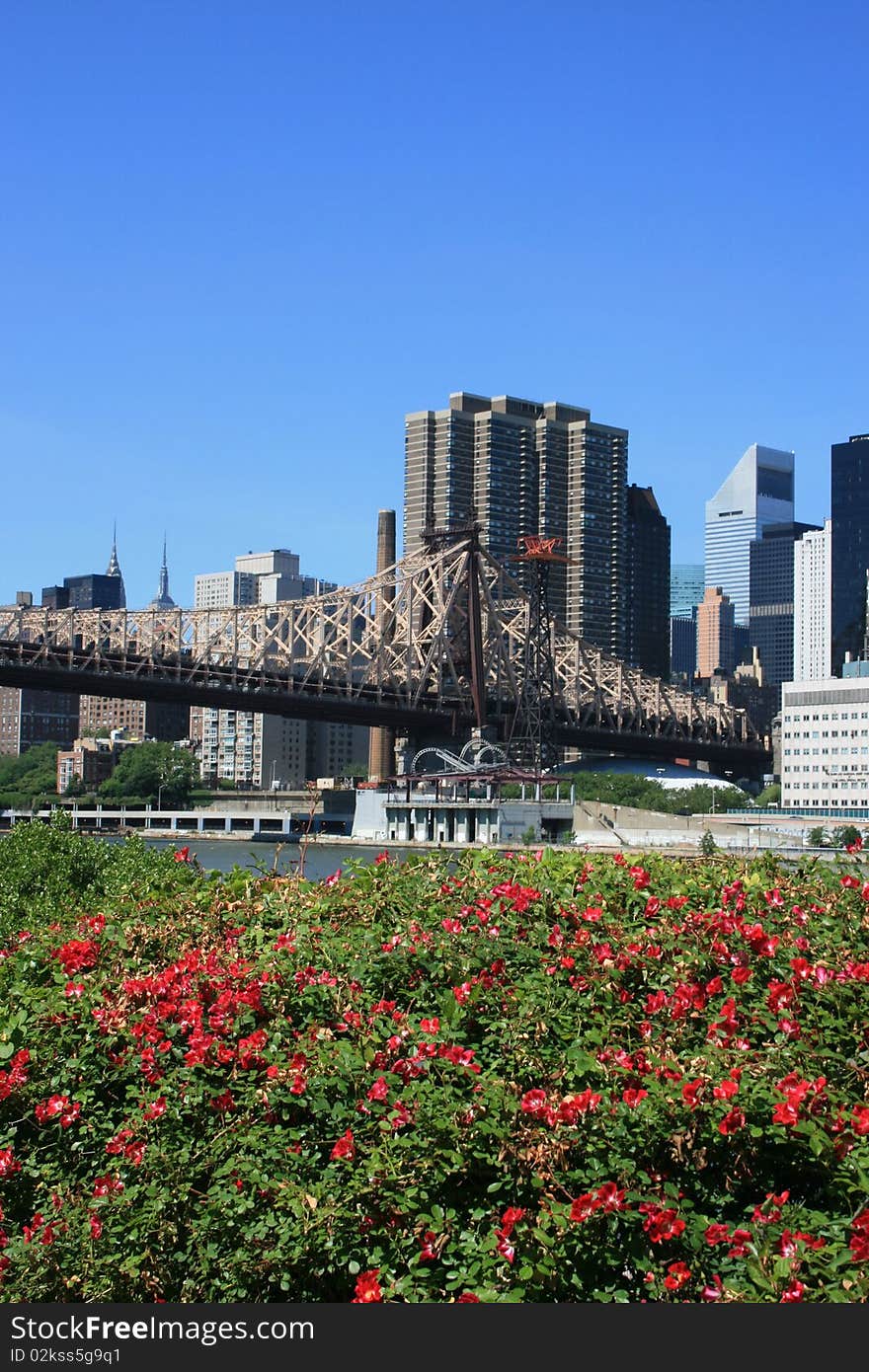 Queensboro Bridge as seen from Manhattan's Roosevelt Island. Queensboro Bridge as seen from Manhattan's Roosevelt Island.