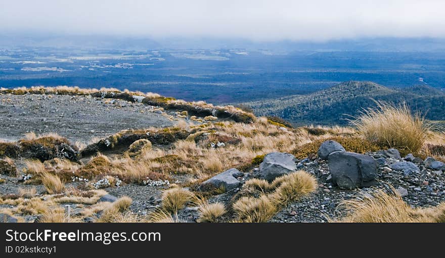 Hill country, Mt Ruapehu, North Island, New Zealand