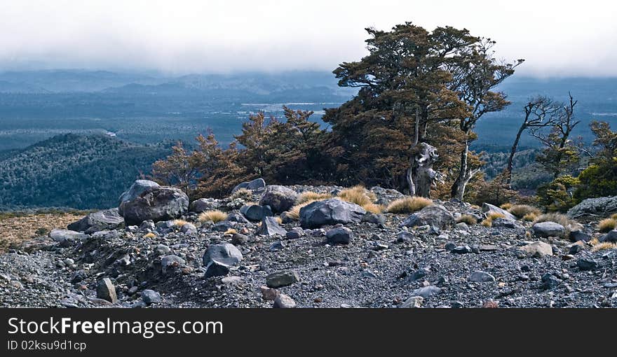 Hill country, Mt Ruapehu, North Island, New Zealand