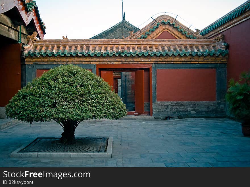 A tree next to gates, Shenyang, China. A tree next to gates, Shenyang, China