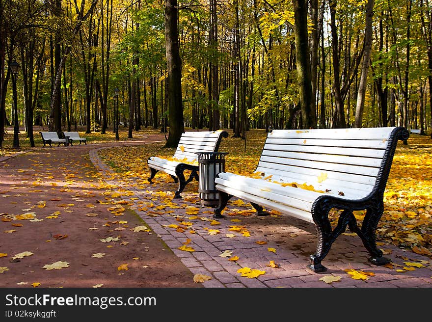 Benches in Idyllic park area. Benches in Idyllic park area