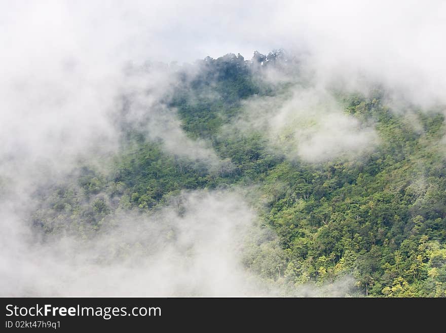 Cloud on mountain