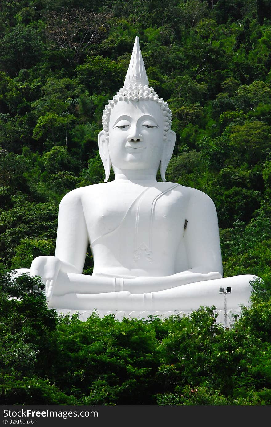 Buddha sitting on the mountain