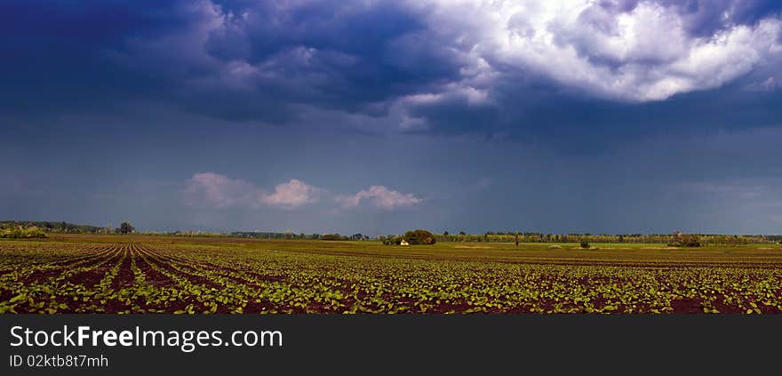 Agricultural area before the storm. Agricultural area before the storm.