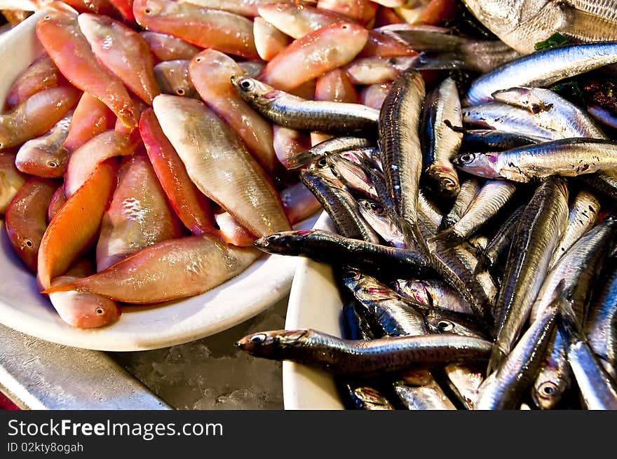 Set of fish on fish counter