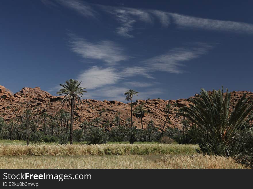 Mountains And Palms With White Clouds