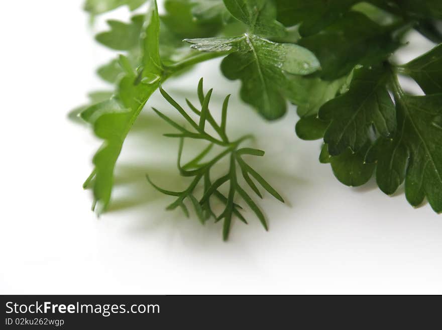 Parsley leaves on a white background