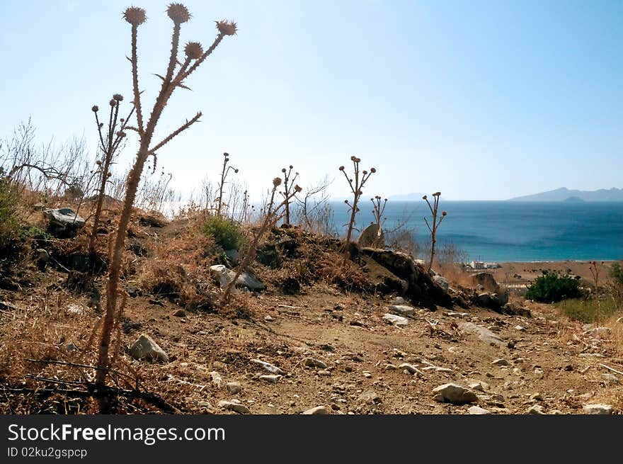 A dry sea landscape, island Kos (Cos)