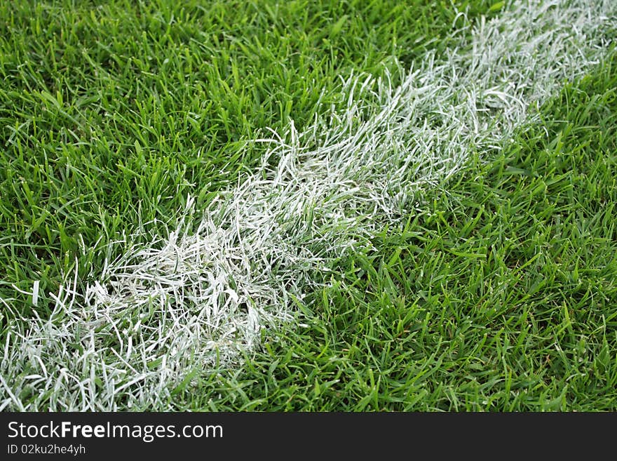 Natural green lawn with the markings