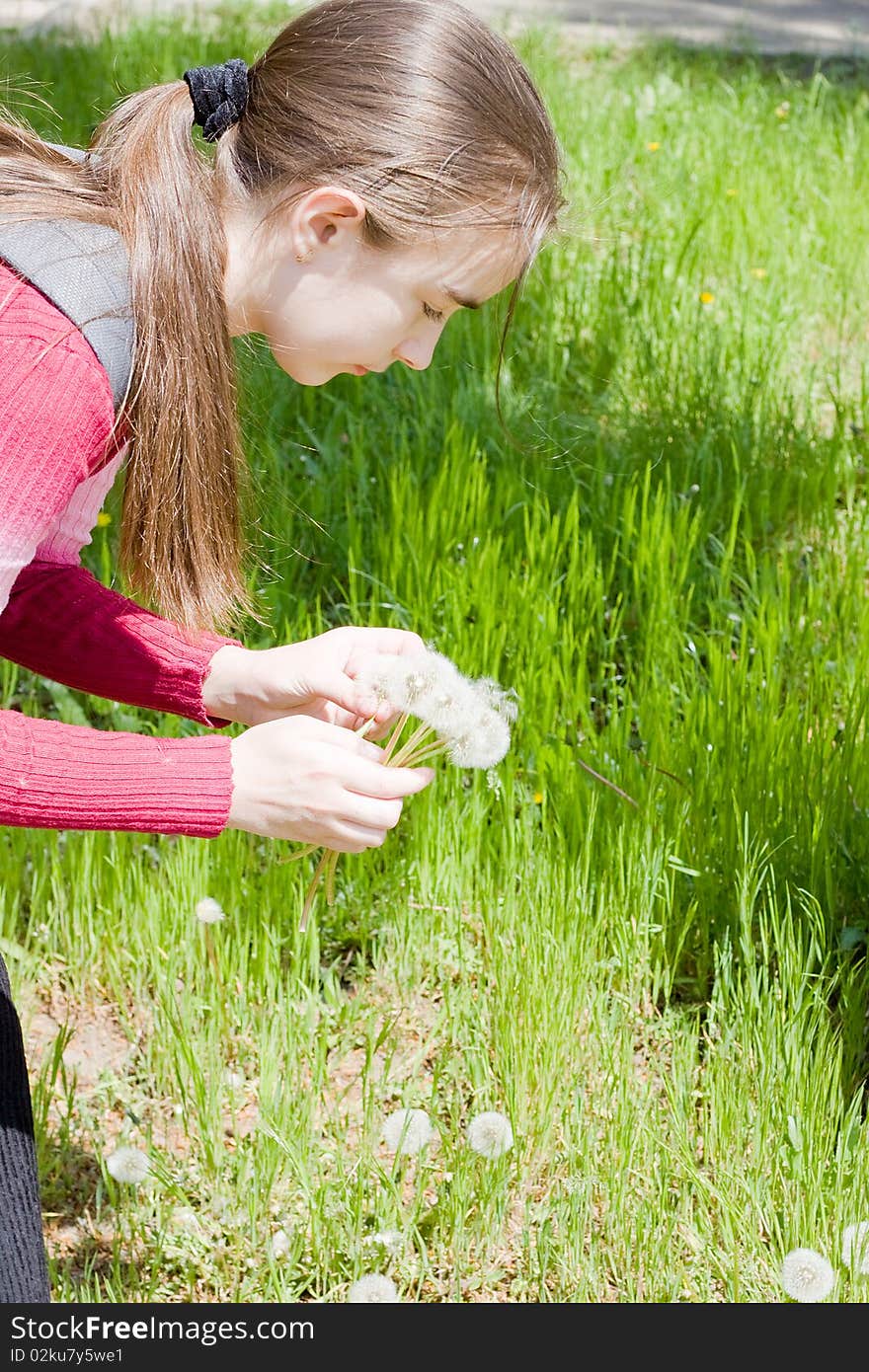 Girl and dandelions. Green grass