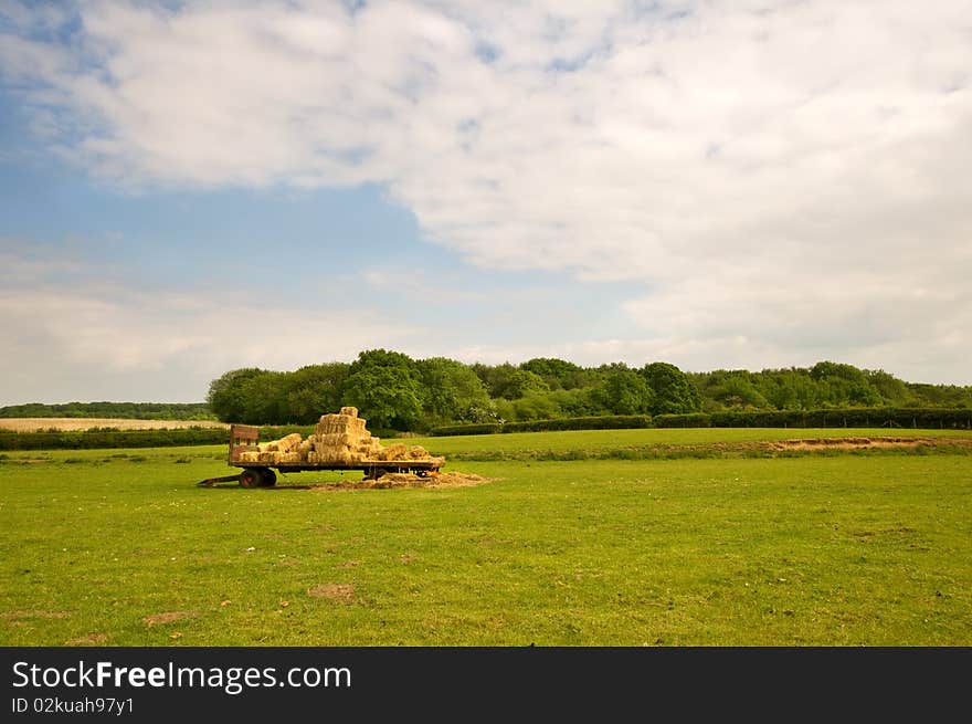 Haymaking