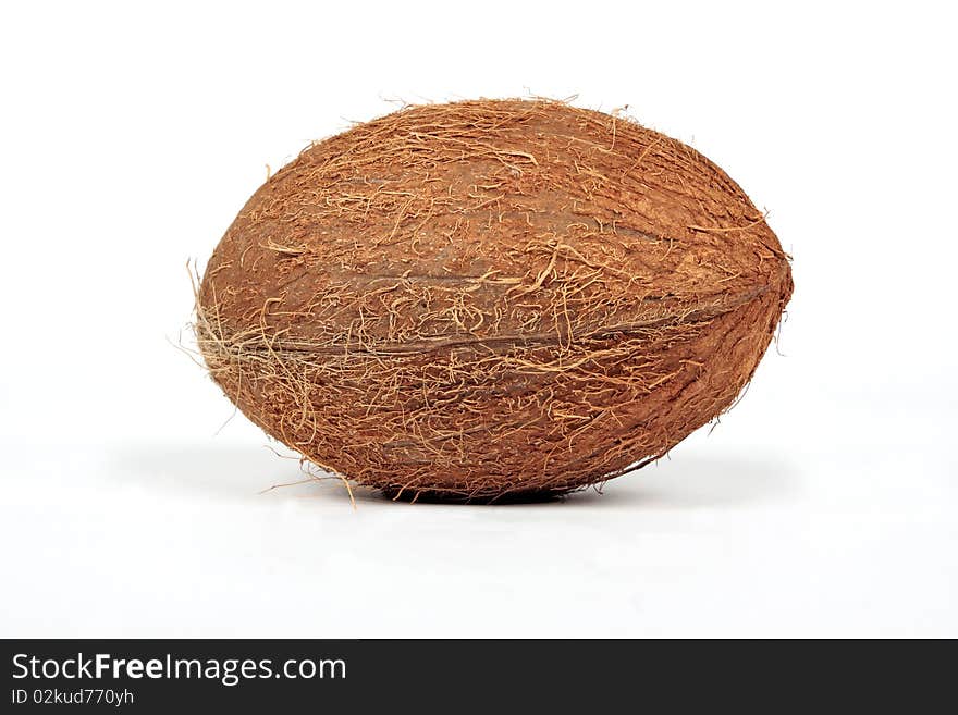 Whole coconut on white background