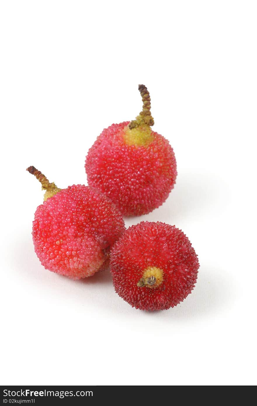 Ripe arbutus