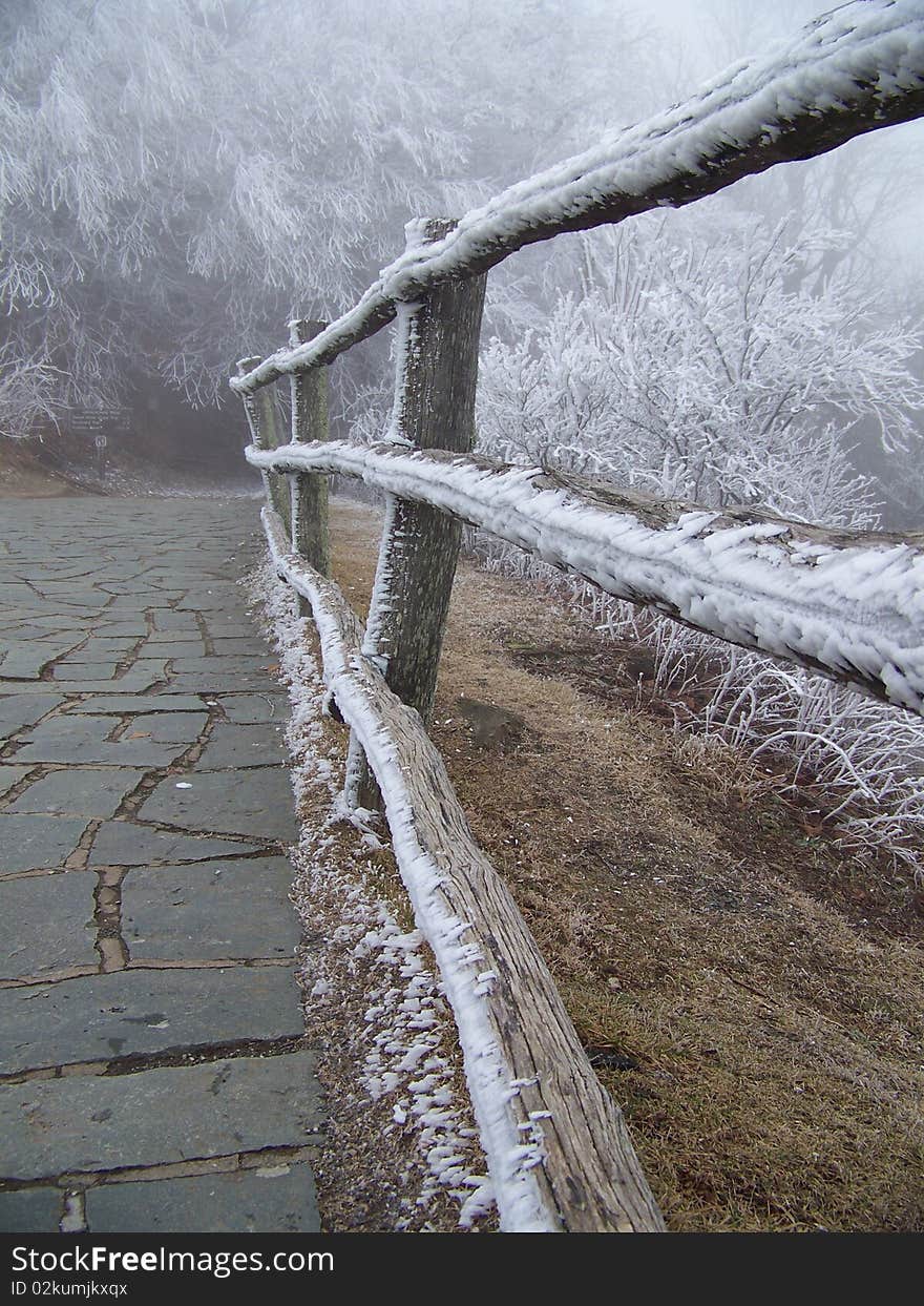 Frozen Pathway