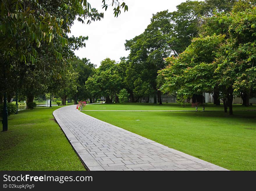 The walking exercise in the park. The walking exercise in the park