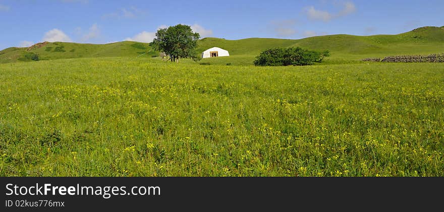 Continental plateau grasslands in north china,generous in thoughts,widen,