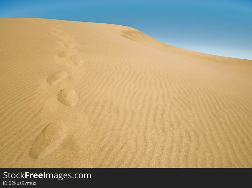 Foot prints in the Bruneau Sand Dune