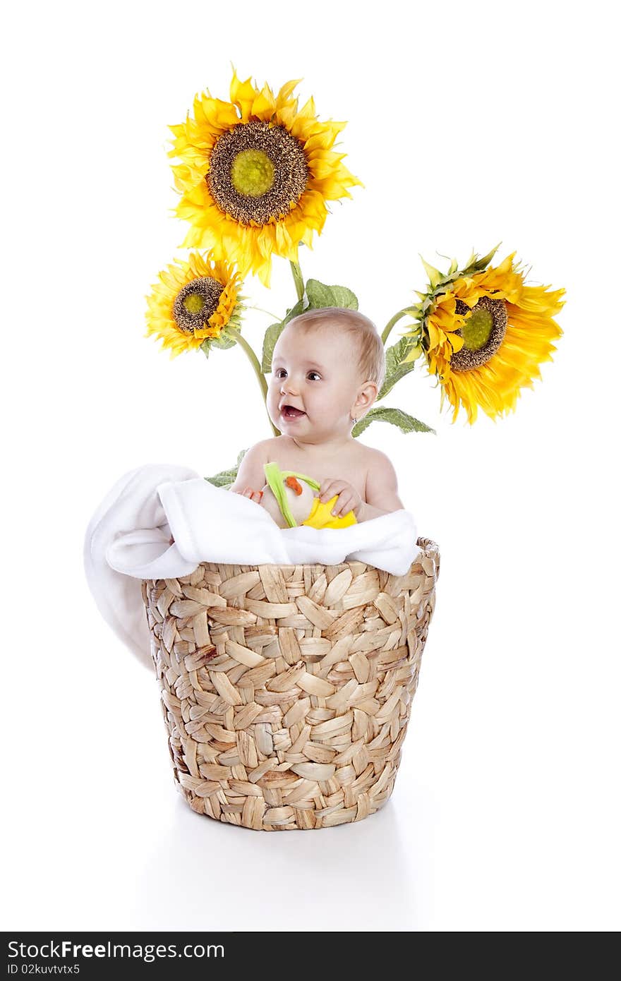 Baby girl in sunflowers on white