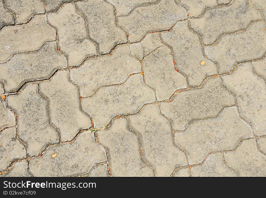 Pavement Texture In The Palace