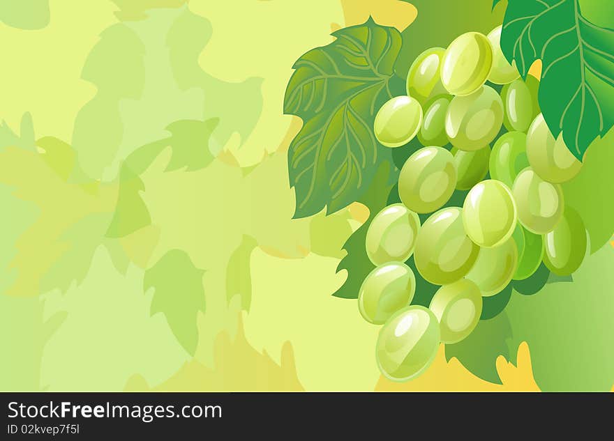 Cluster of grapes with leaves and a background. Cluster of grapes with leaves and a background