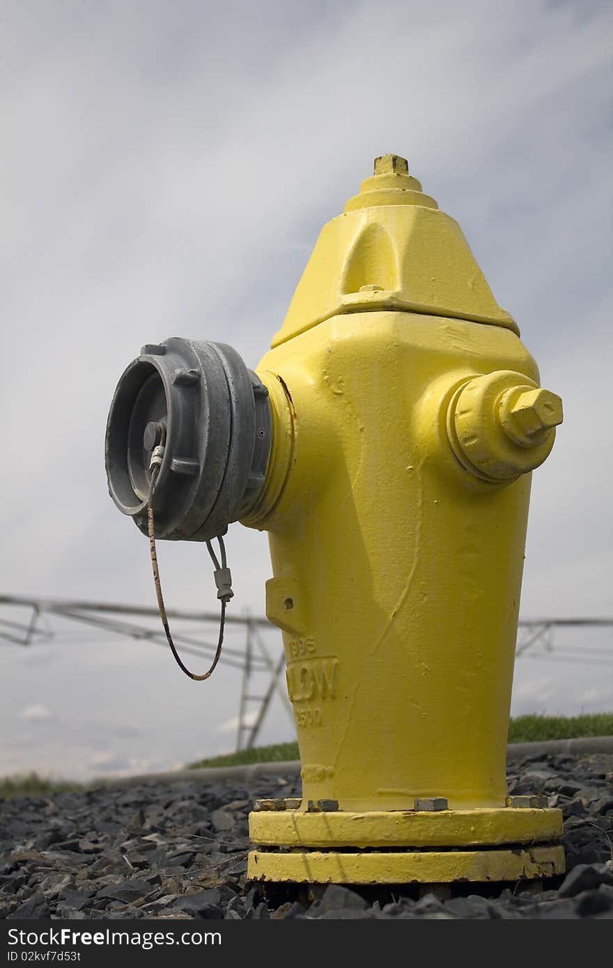 Close-up of a yellow fire hydrant