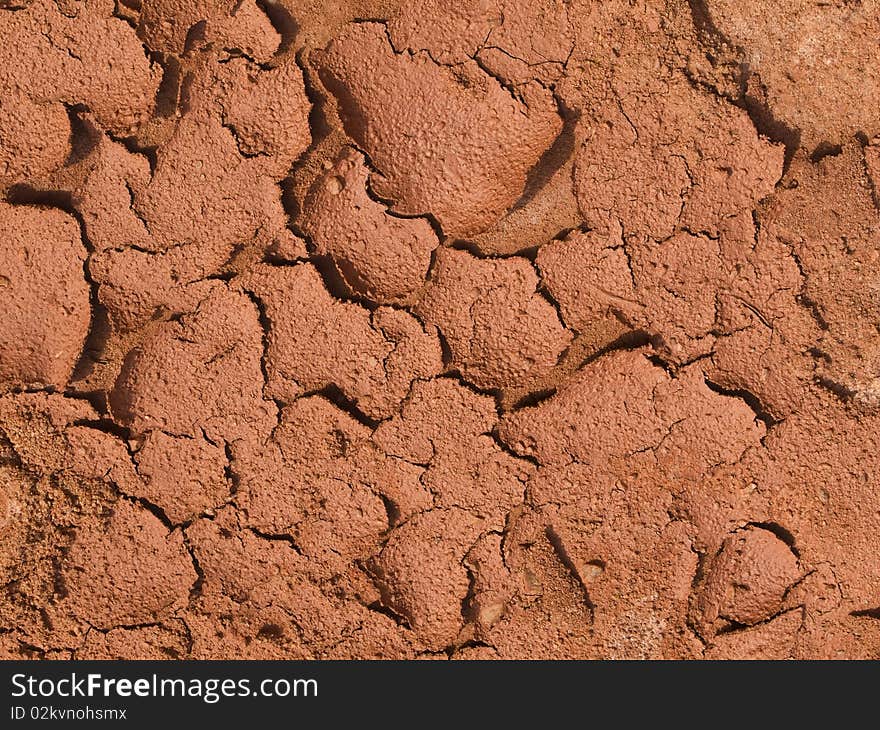 A close up on a piece of a red, arid land.