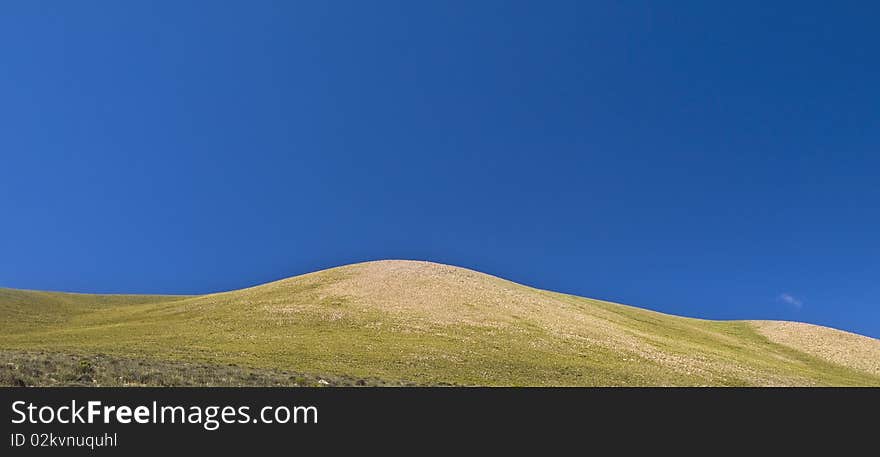 A green meadow and a blue sky. A green meadow and a blue sky.