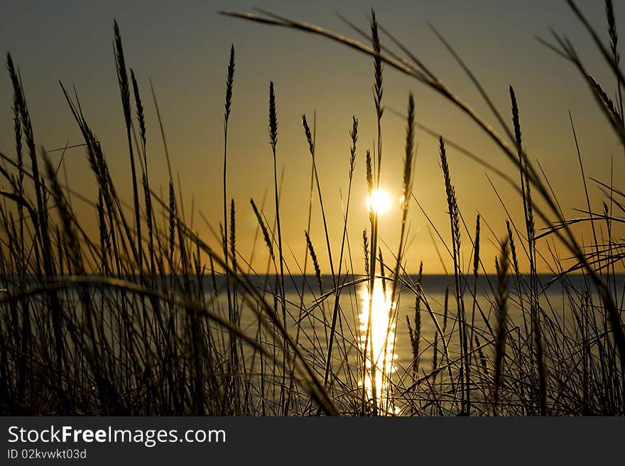 A sunrise at the lake