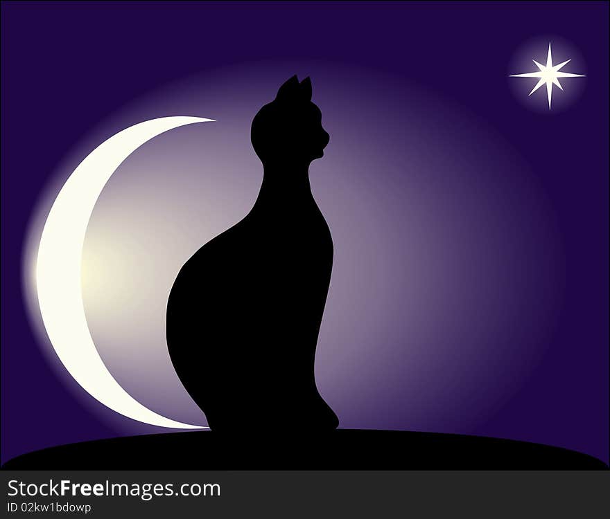 A be single cat sits at night on a roof and looks at a star. A be single cat sits at night on a roof and looks at a star