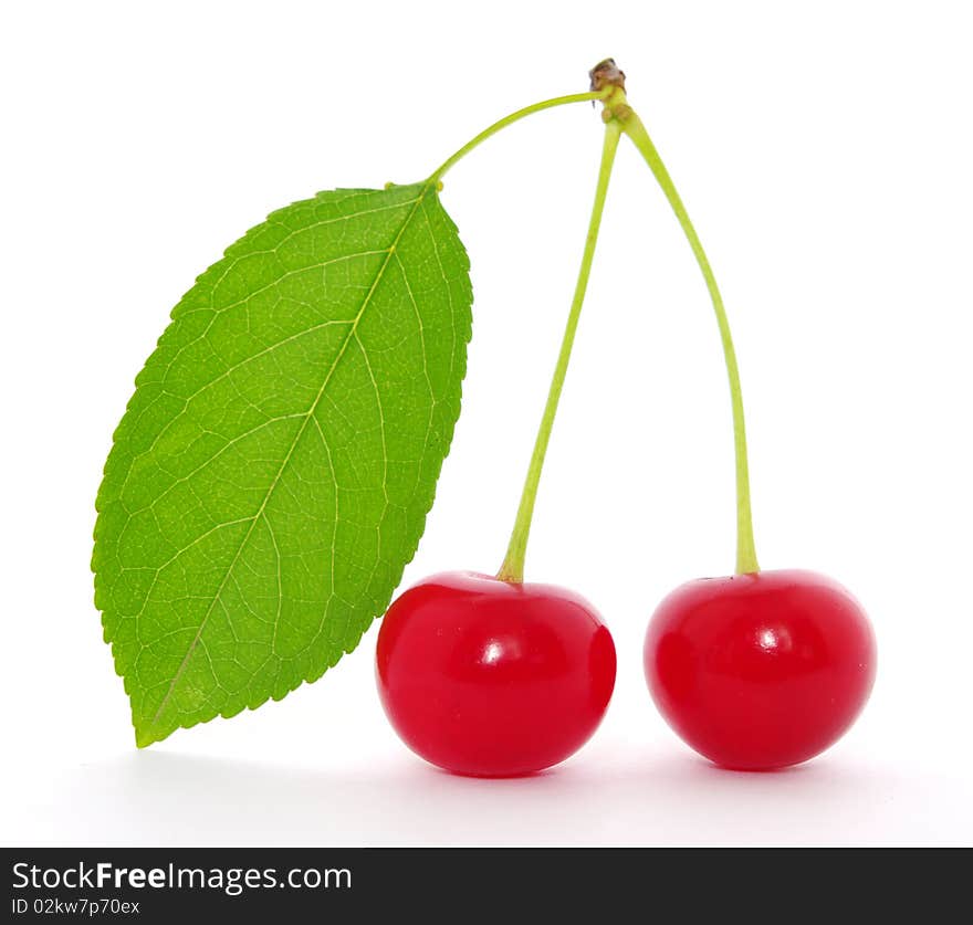 Cherries isolated on a white background