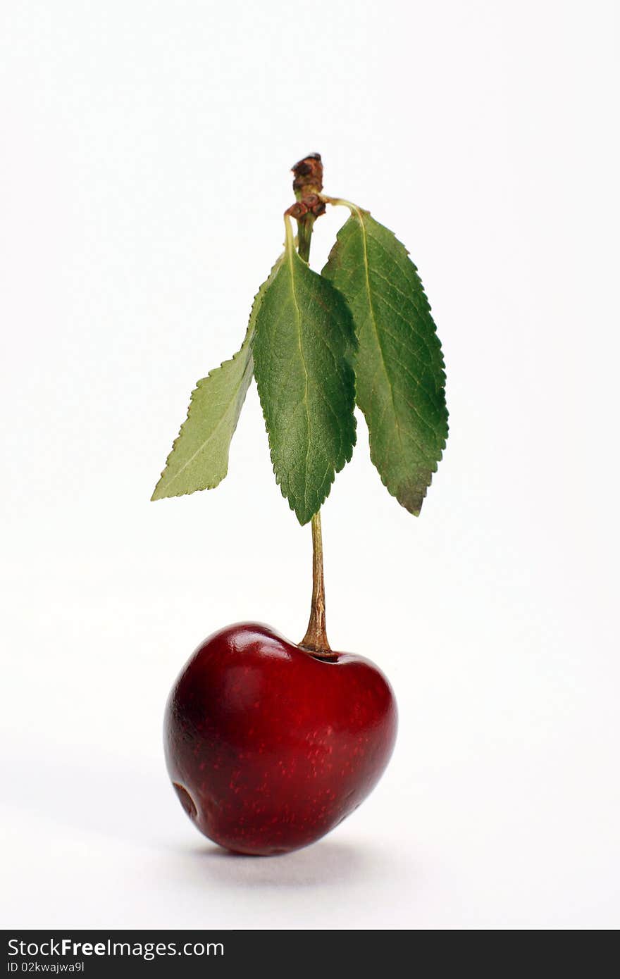 Cherry fruit on a white background