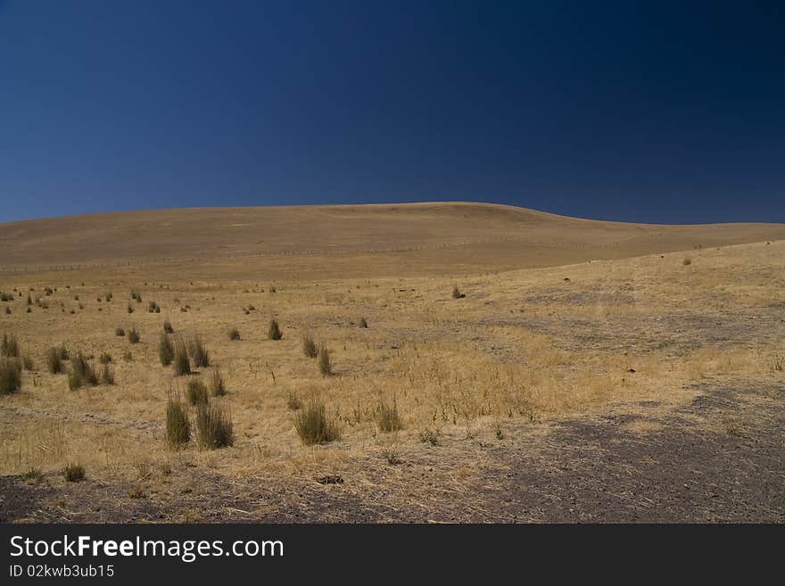 Large view of a field in the state of Idaho. Large view of a field in the state of Idaho