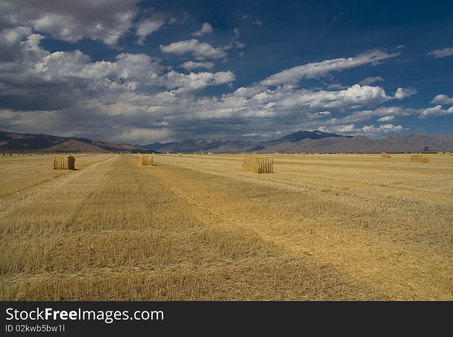 Large view of a field in the state of Idaho. Large view of a field in the state of Idaho