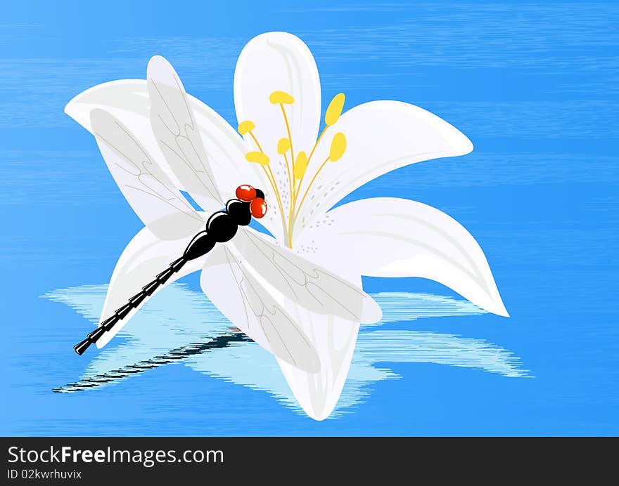 Dragonfly on lily,  illustration, AI file included