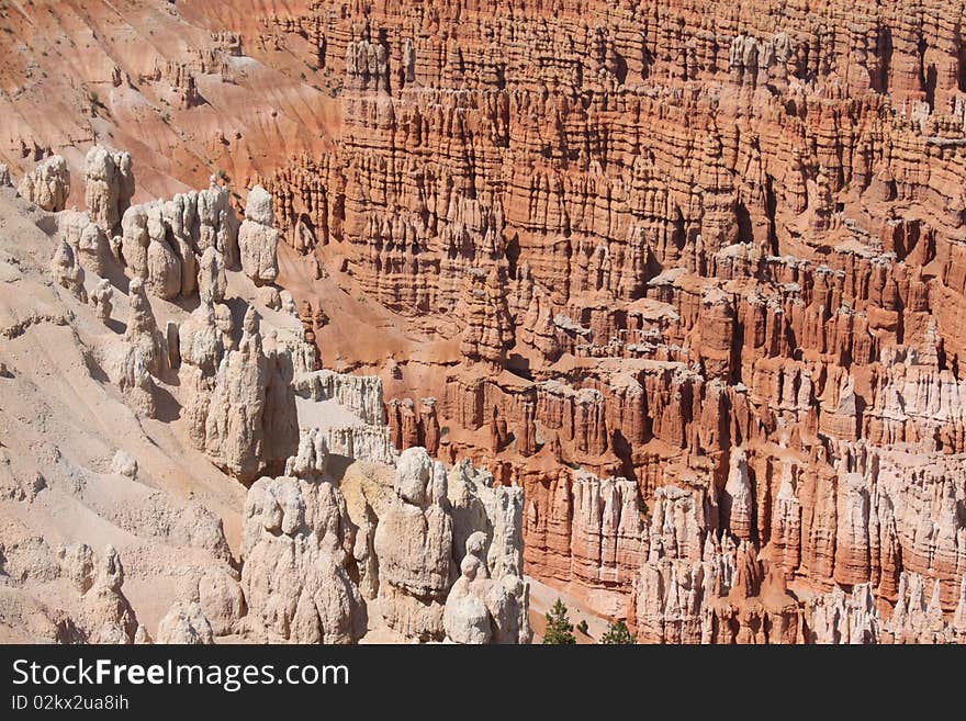 Hoodoos in Bryce Canyon National Park