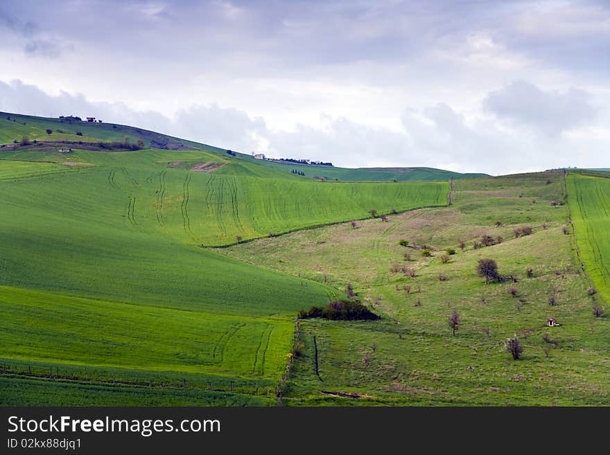 Landascape and grass with a mountain in background