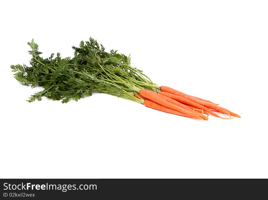 Fresh organic carrot