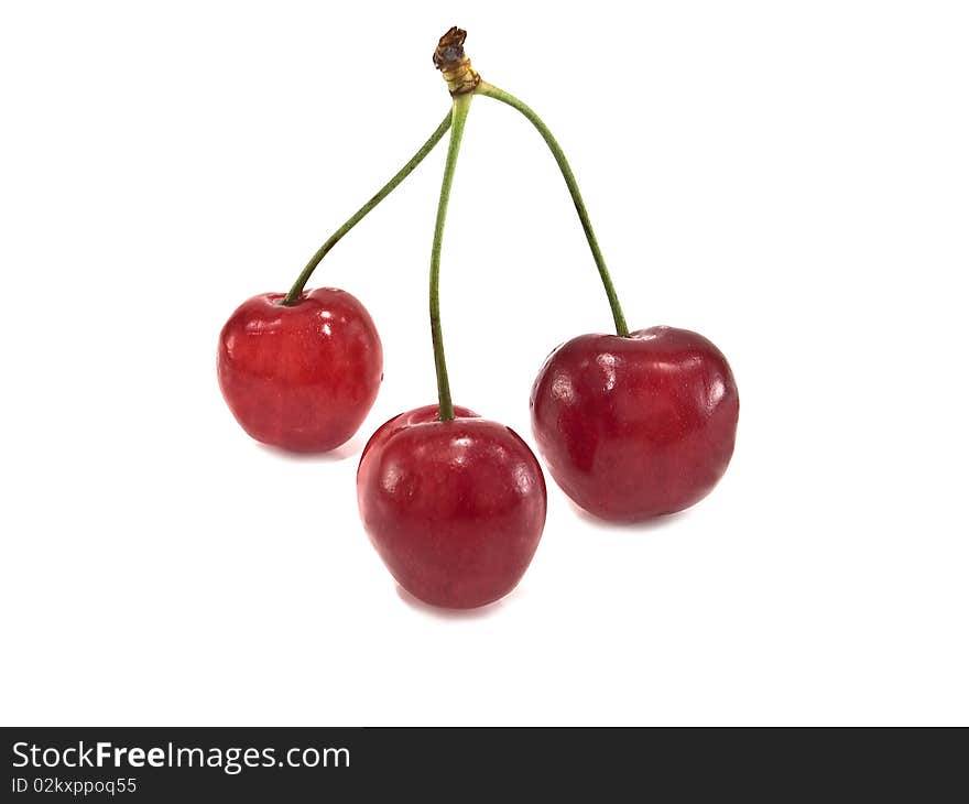 Three cherries on a white background. Three cherries on a white background