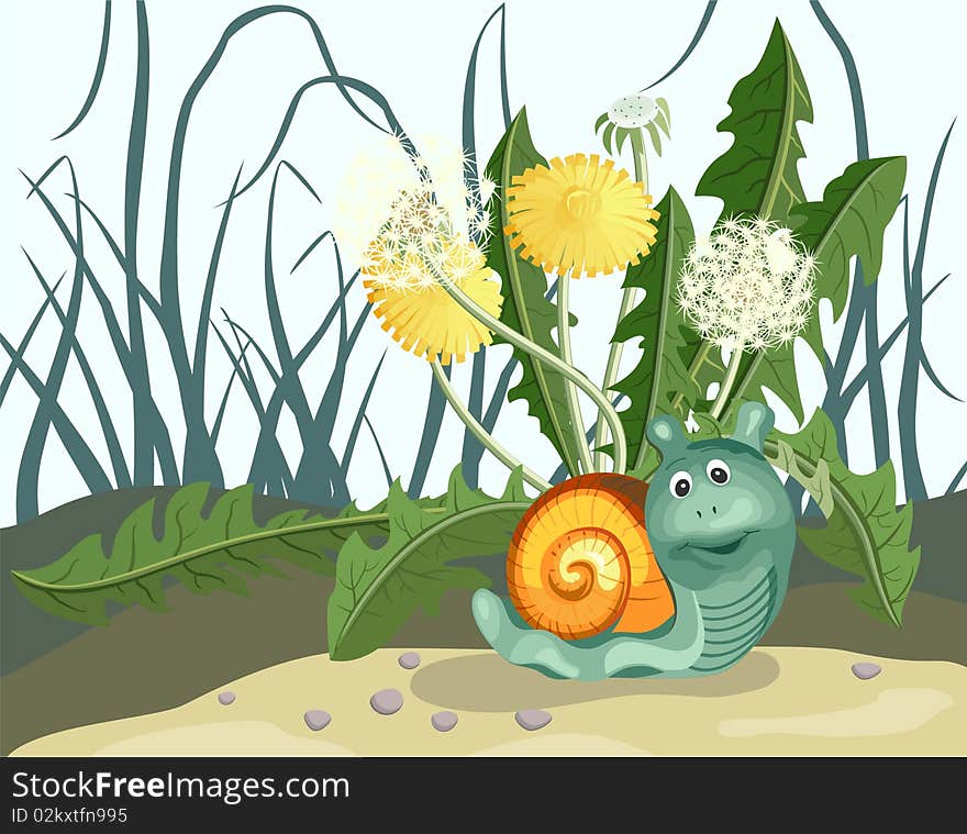 Snail and dandelions. Vector illustration