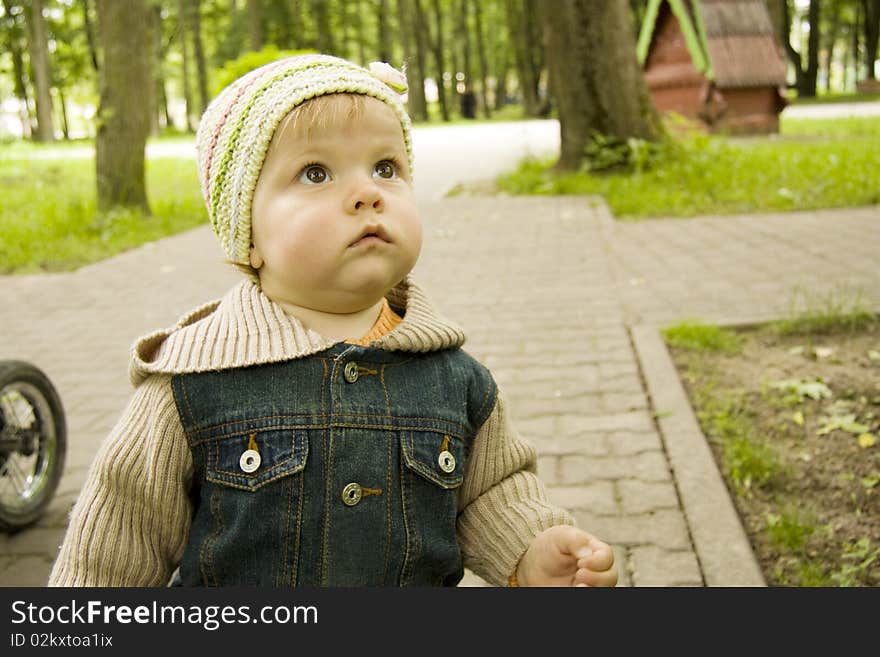 The child dressed in a cap and a jacket looks upwards at a tree. The child dressed in a cap and a jacket looks upwards at a tree