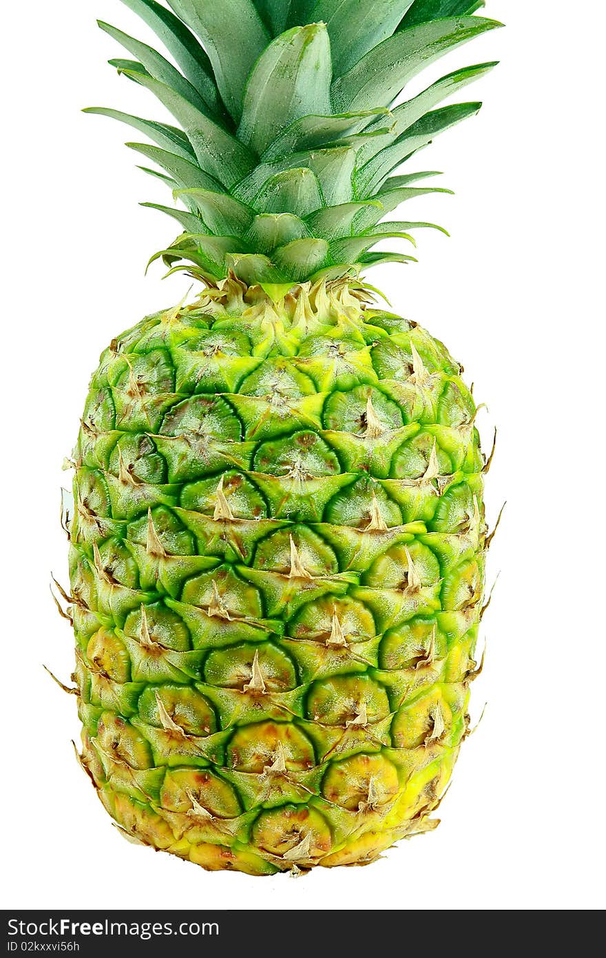 Fresh Pineapple