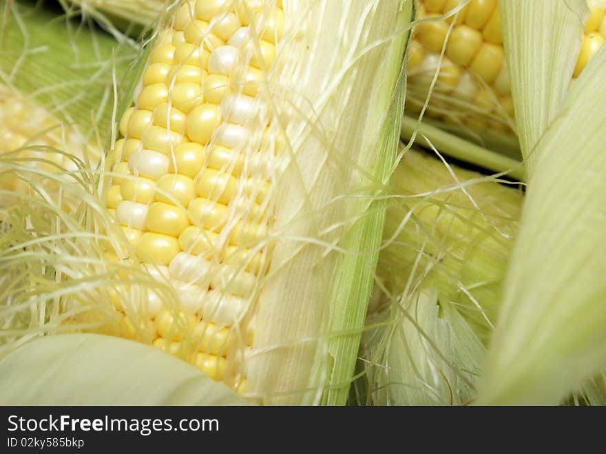 A macro of a few cobs of corn. A macro of a few cobs of corn.