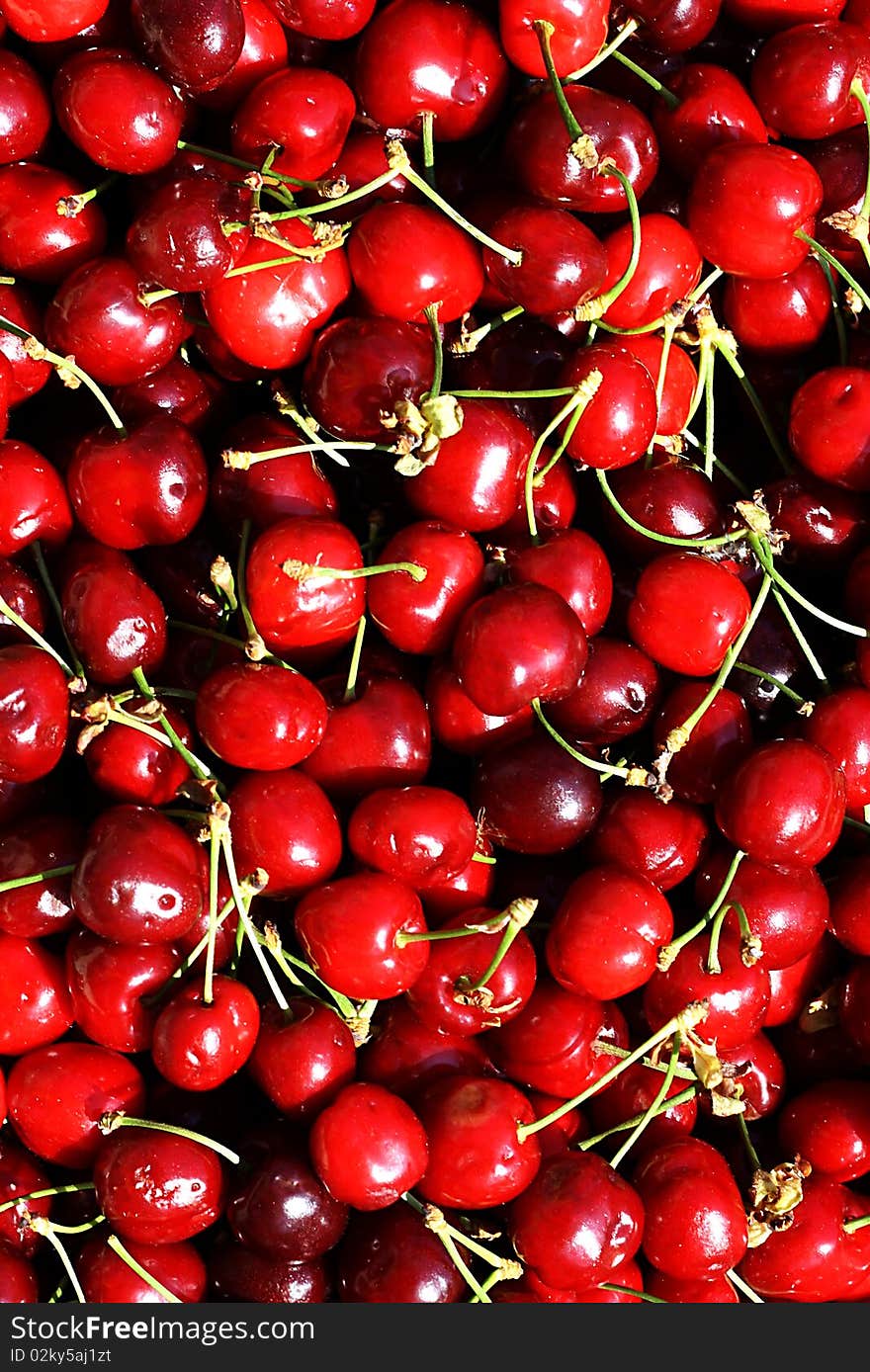 Collection of bright and shiny cherries