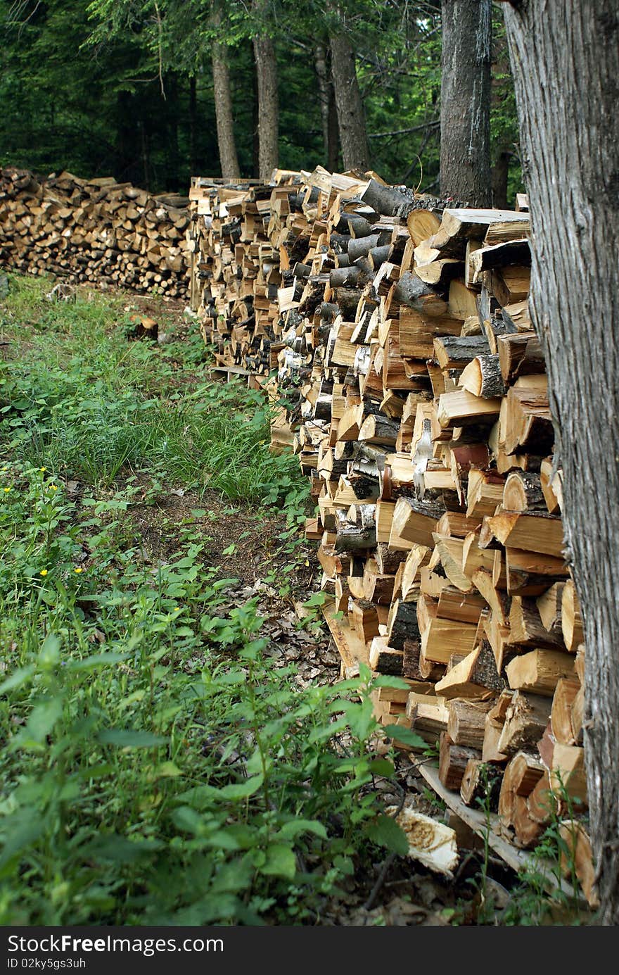 Stockpile of Firewood