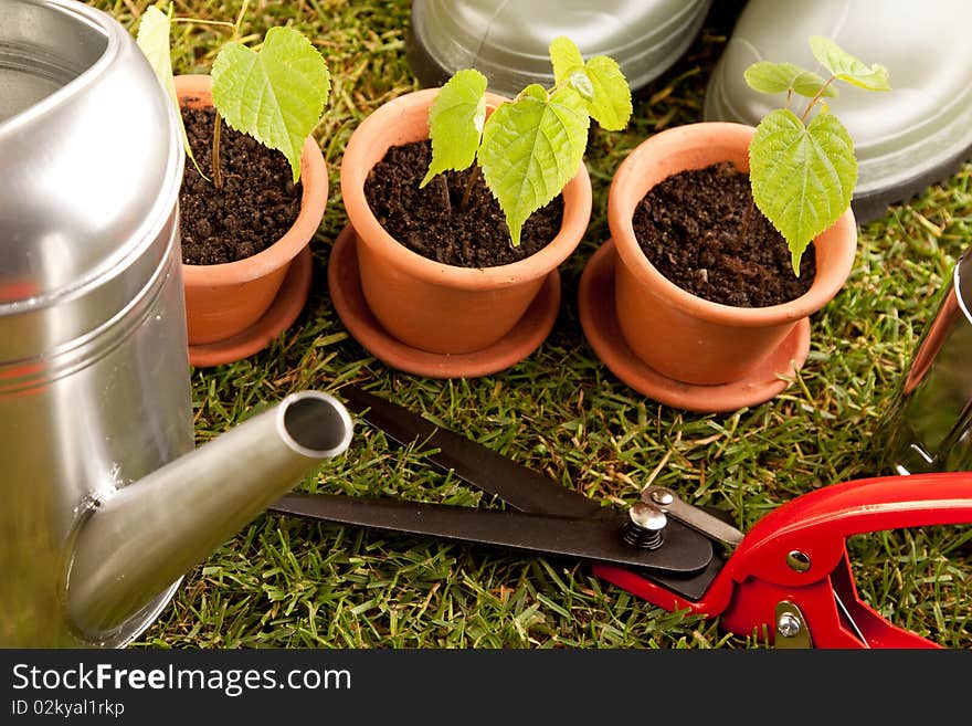 Gardening concept shot on grass. Gardening concept shot on grass